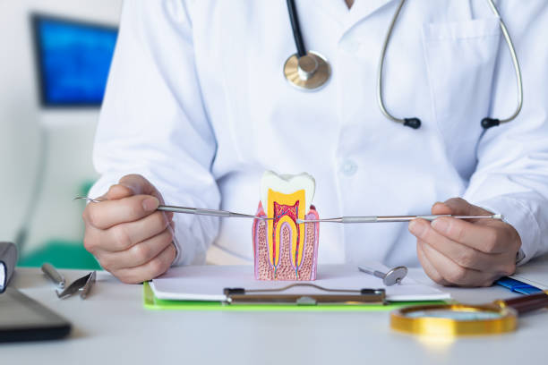Best Emergency Root Canal Treatment in Pen Argyl, PA